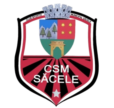 GSM瑟切莱